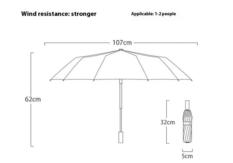 Automatic Umbrella